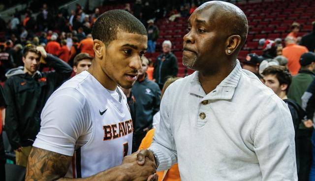 整个赛季的 整个赛季的