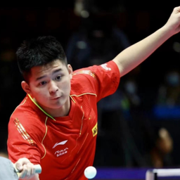 赏体现了新 赏体现了新