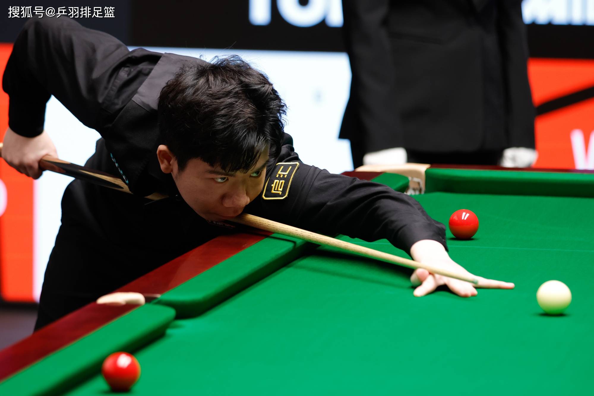 进草换血到 进草换血到